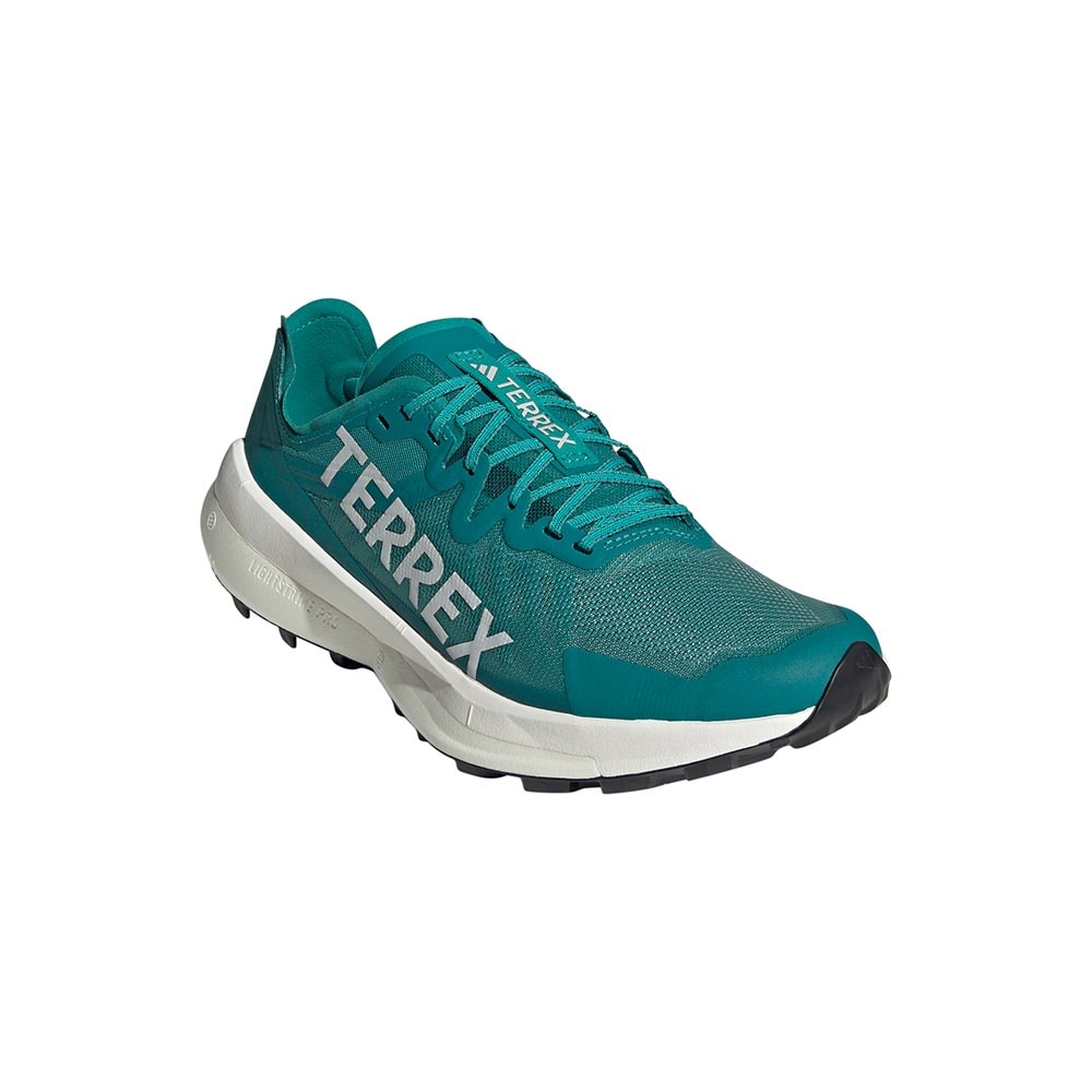 Adidas Terrex Agravic Speed Joggesko Herre Grønn/Blå/Hvit