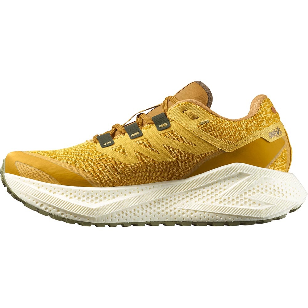 Salomon Aero Glide 3 GRVL Joggesko Herre Gul/Beige