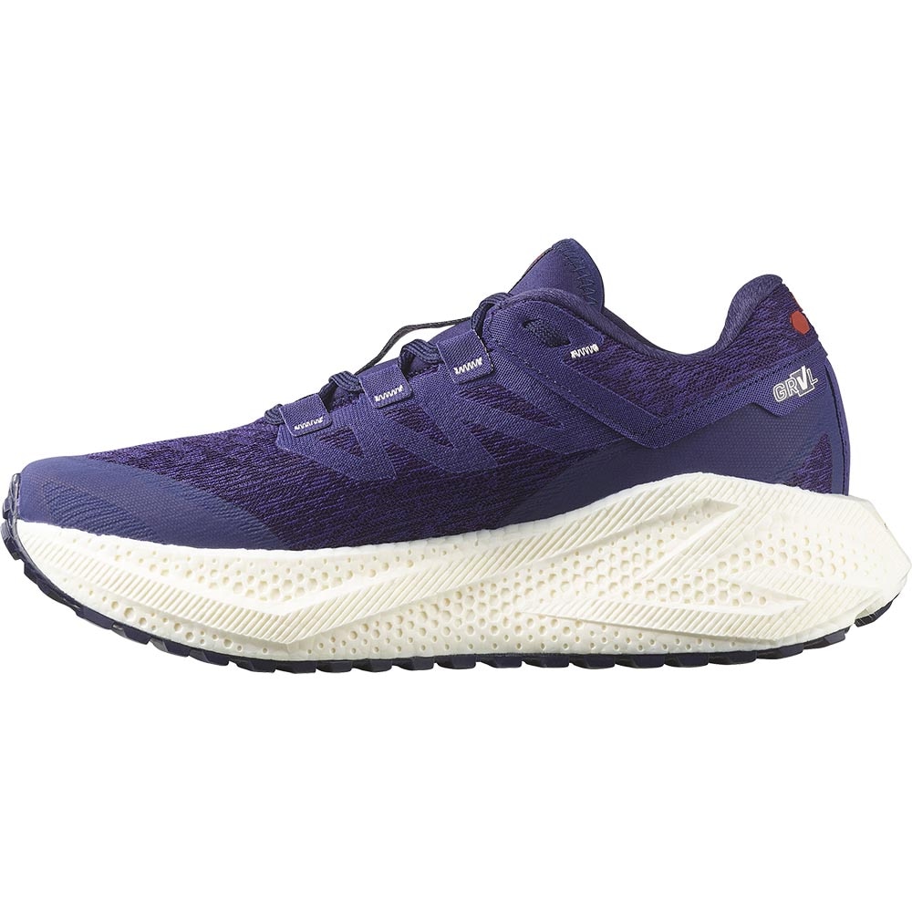 Salomon Aero Glide 3 GRVL Joggesko Dame Lilla/Hvit/Rød