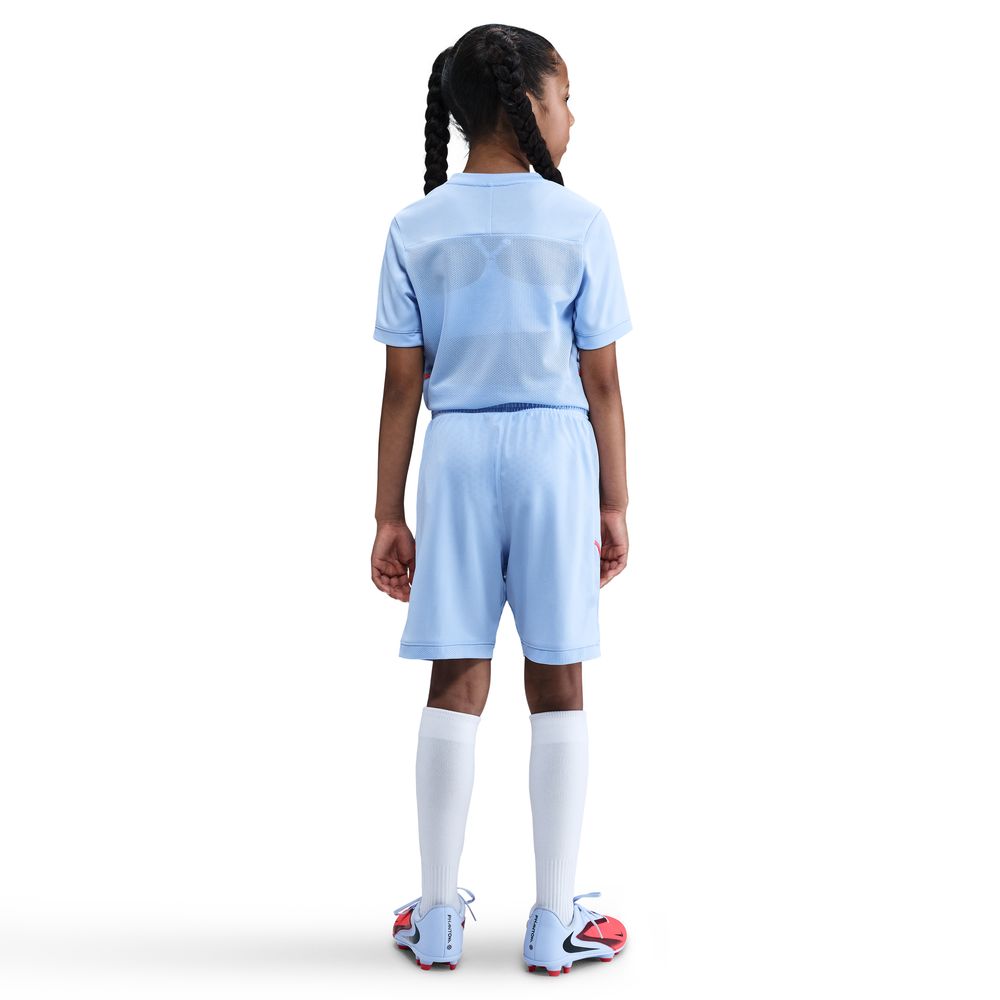 Nike Haaland Academy 25 Shorts Barn Lilla/Rød