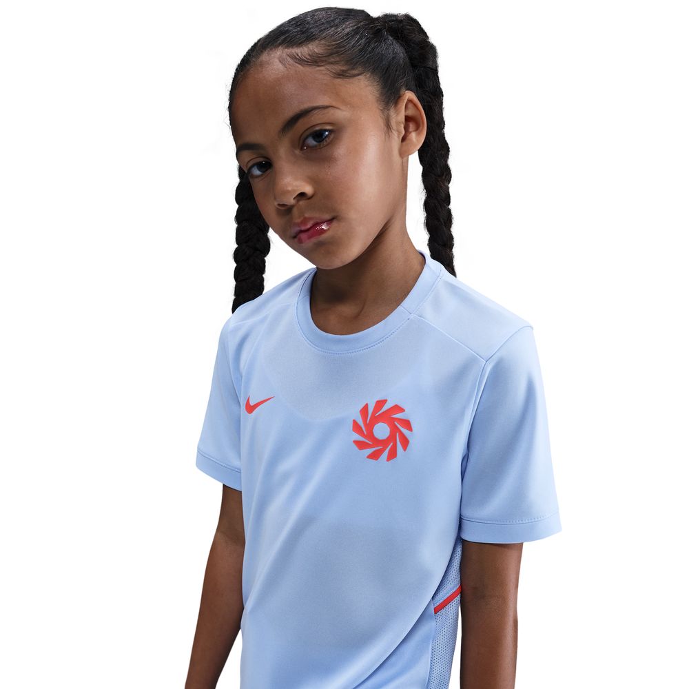 Nike Haaland Academy 25 Trøye Barn Lilla/Rød