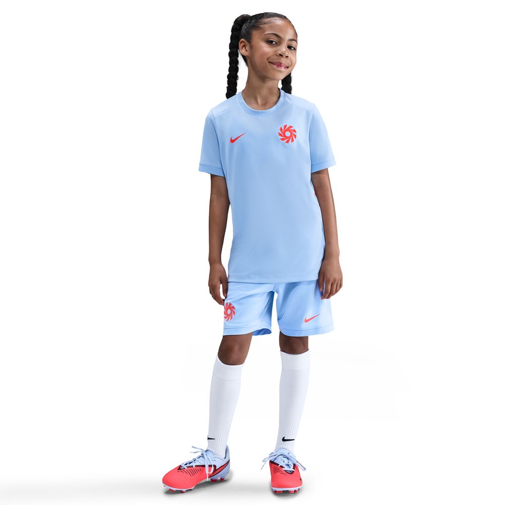 Nike Haaland Academy 25 Trøye Barn Lilla/Rød