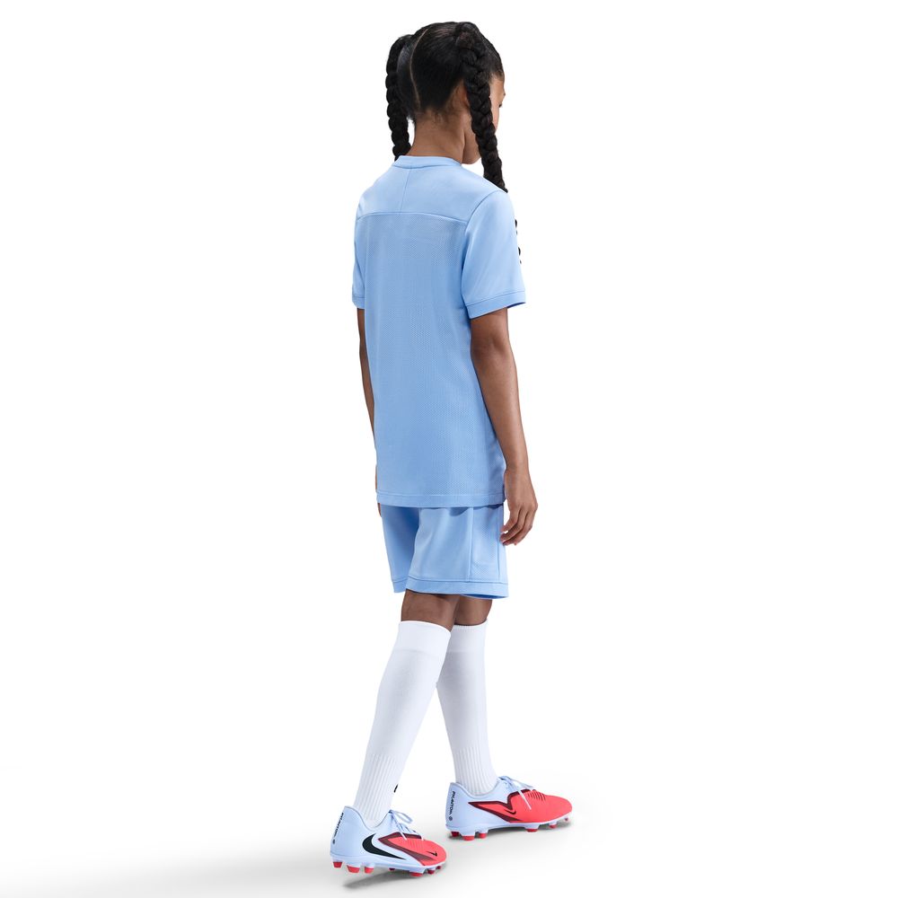 Nike Haaland Academy 25 Trøye Barn Lilla/Rød