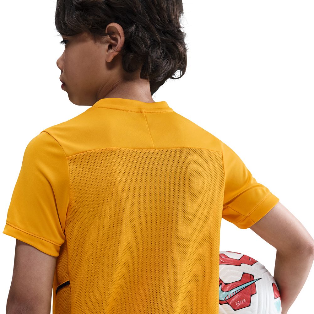 Nike Haaland Academy 25 Trøye Barn Oransje/Blå