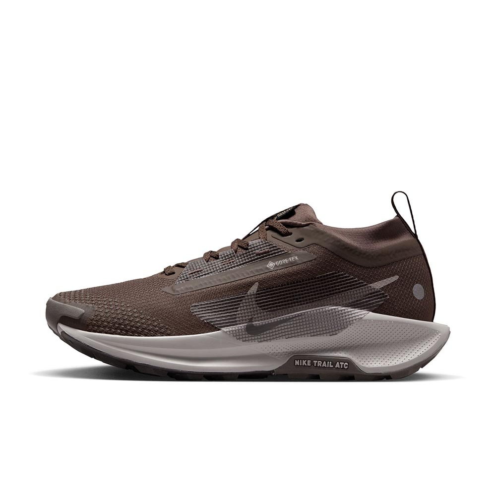 Nike Pegasus Trail 5 GORE-TEX Joggesko Dame Brun/Grå