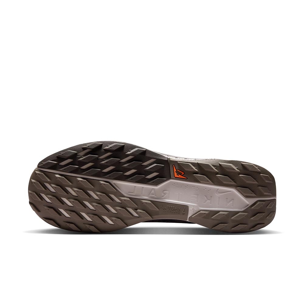 Nike Pegasus Trail 5 GORE-TEX Joggesko Herre Brun