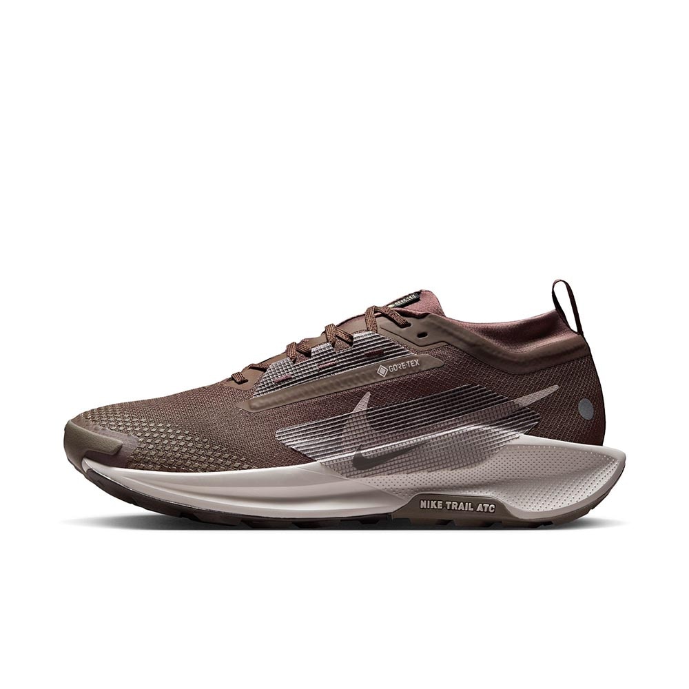 Nike Pegasus Trail 5 GORE-TEX Joggesko Herre Brun