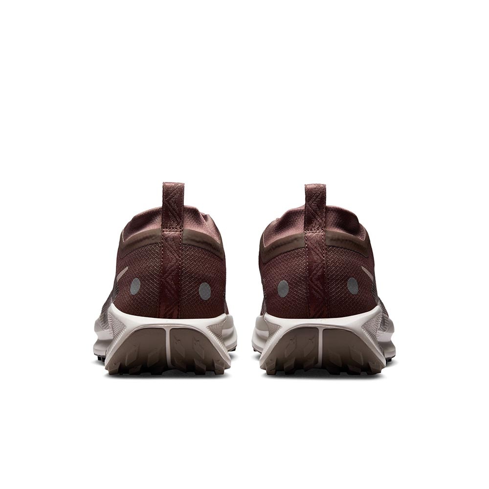 Nike Pegasus Trail 5 GORE-TEX Joggesko Herre Brun