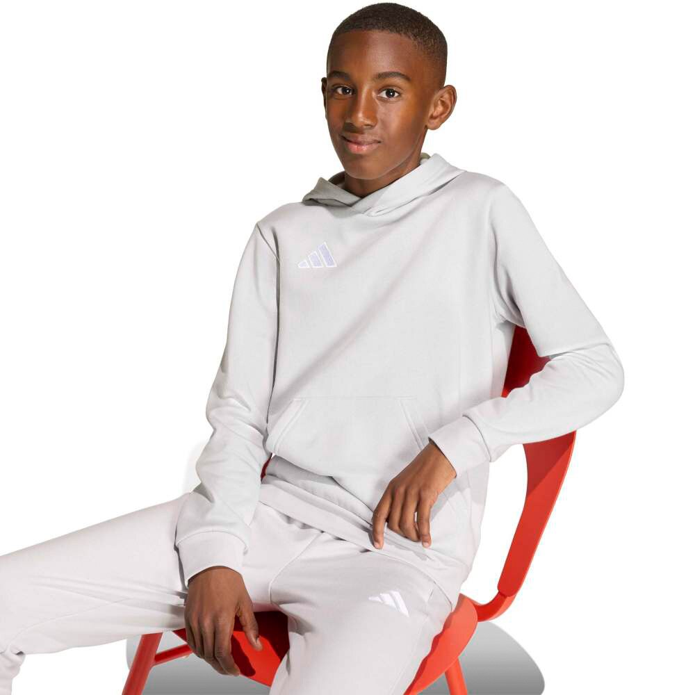 Adidas Entrada 26 Hettegenser Barn Lysegrå