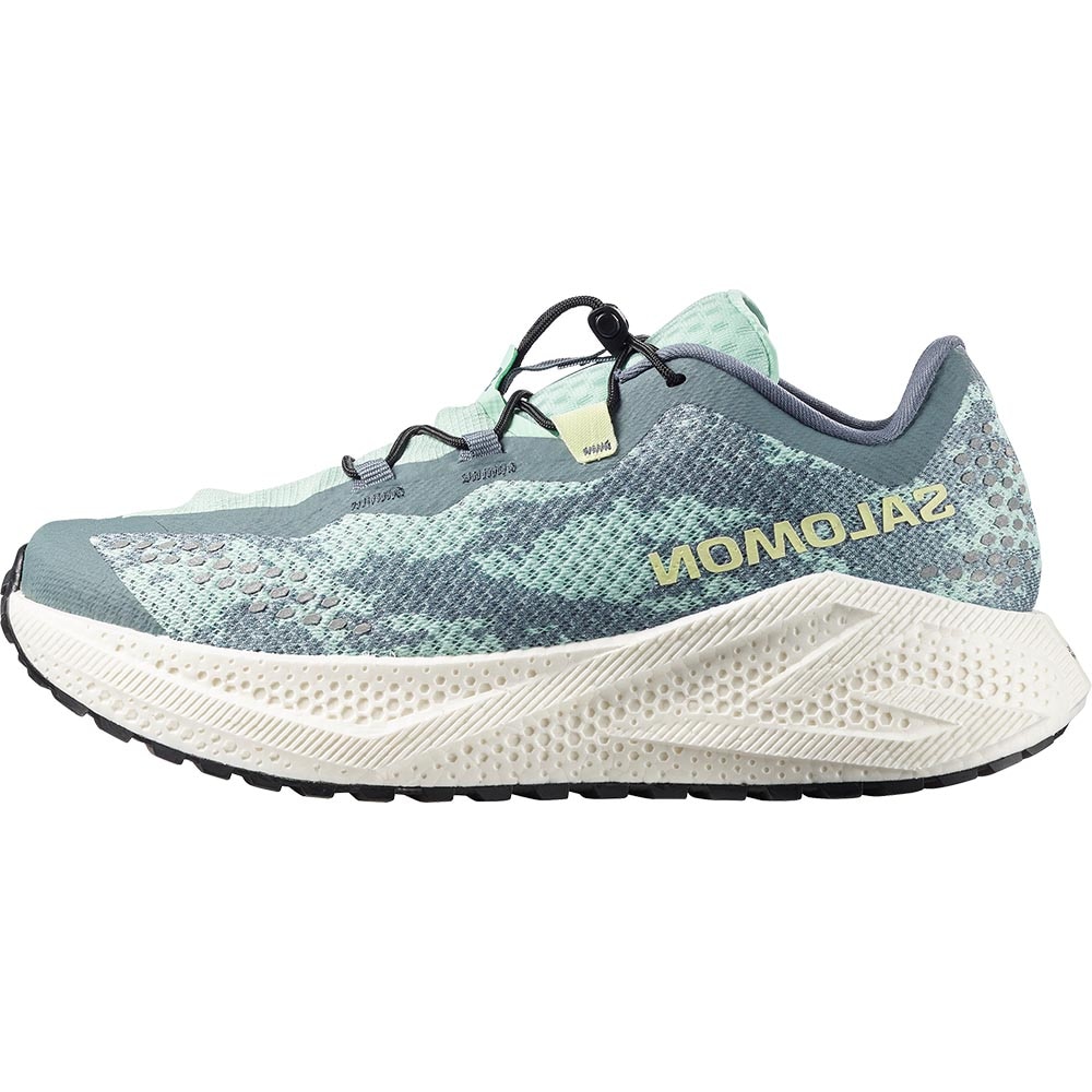 Salomon Aero Glide 4 GRVL Løpesko Herre Brun/Beige