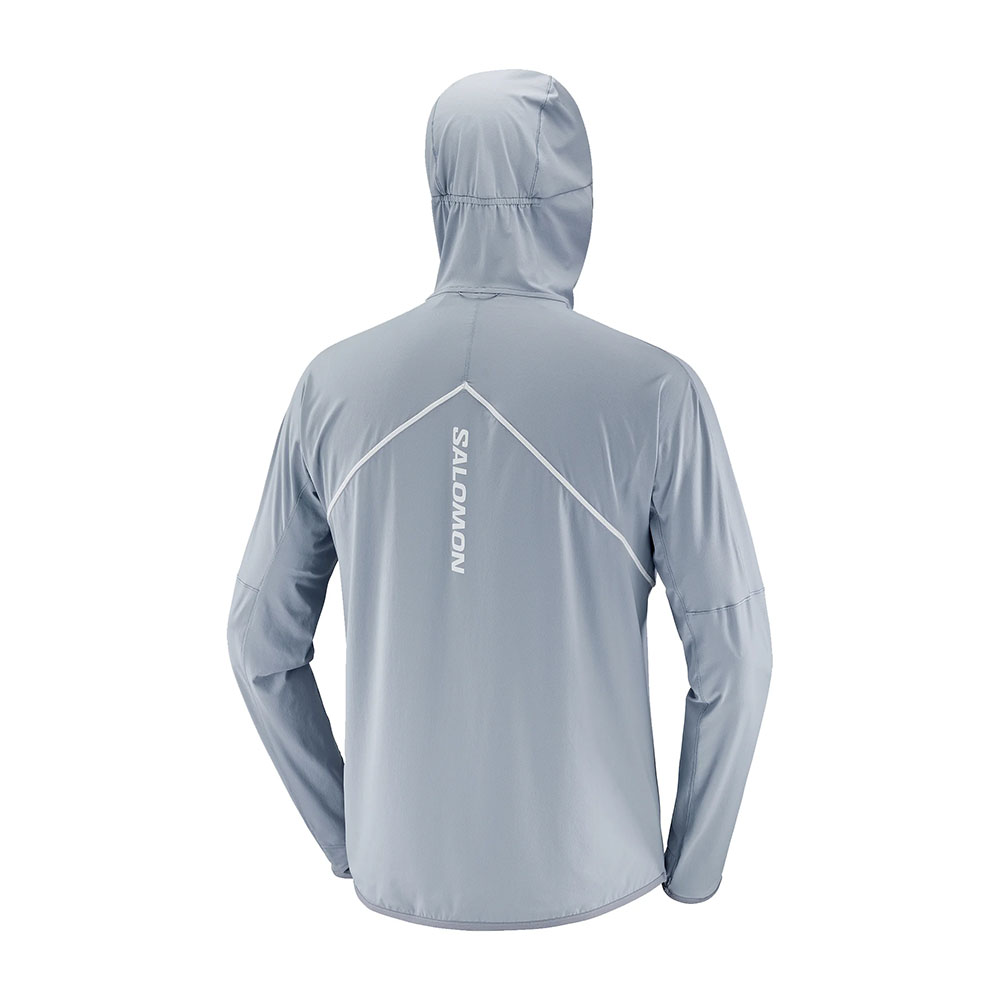 Salomon Sense Aero Hybrid Langermet trøye Herre Blå