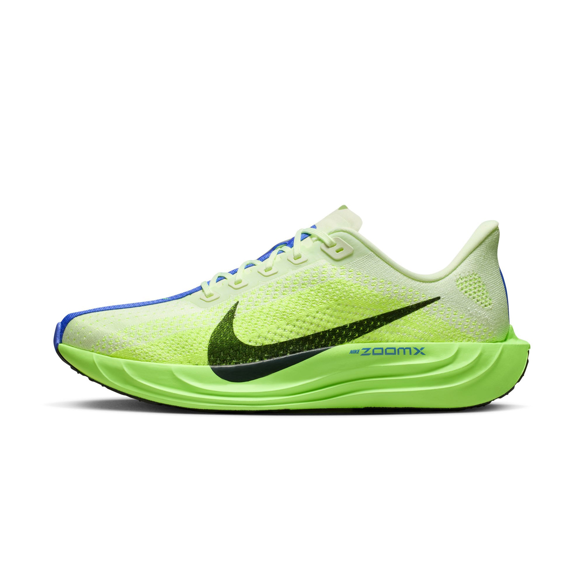 Nike Pegasus Plus Løpeesko Herre Grønn/Lilla