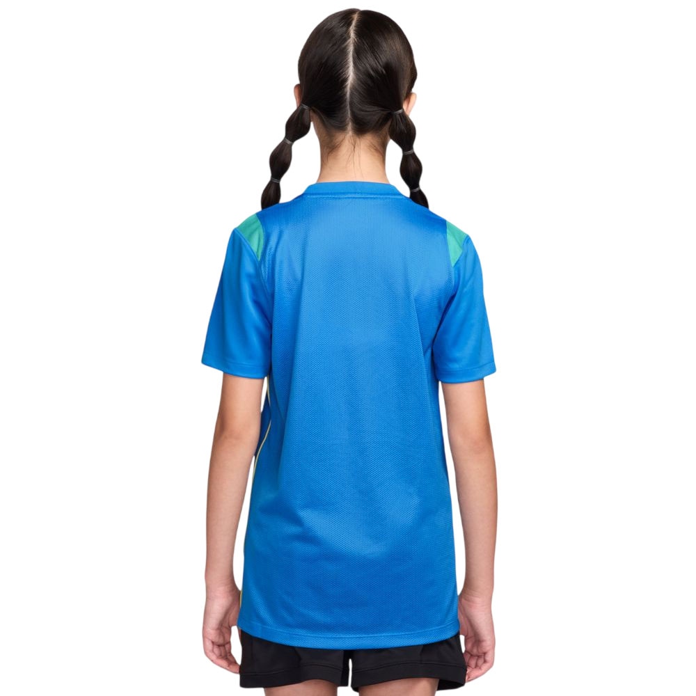 Nike Brasil VM 2026 Dri-FIT Acadamy Pro Treningstrøye Barn Blå/Gul