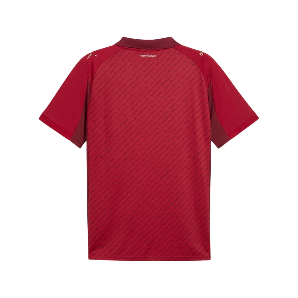 Puma Stade Rennais FC Jubileumsdrakt 125th