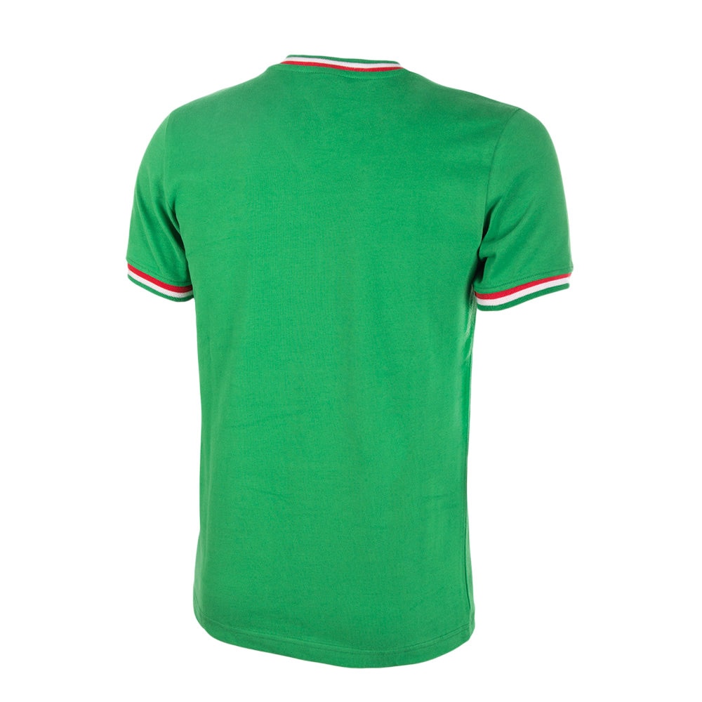 Copa Mexico Pelé 1980s Retro Fotballdrakt Grønn