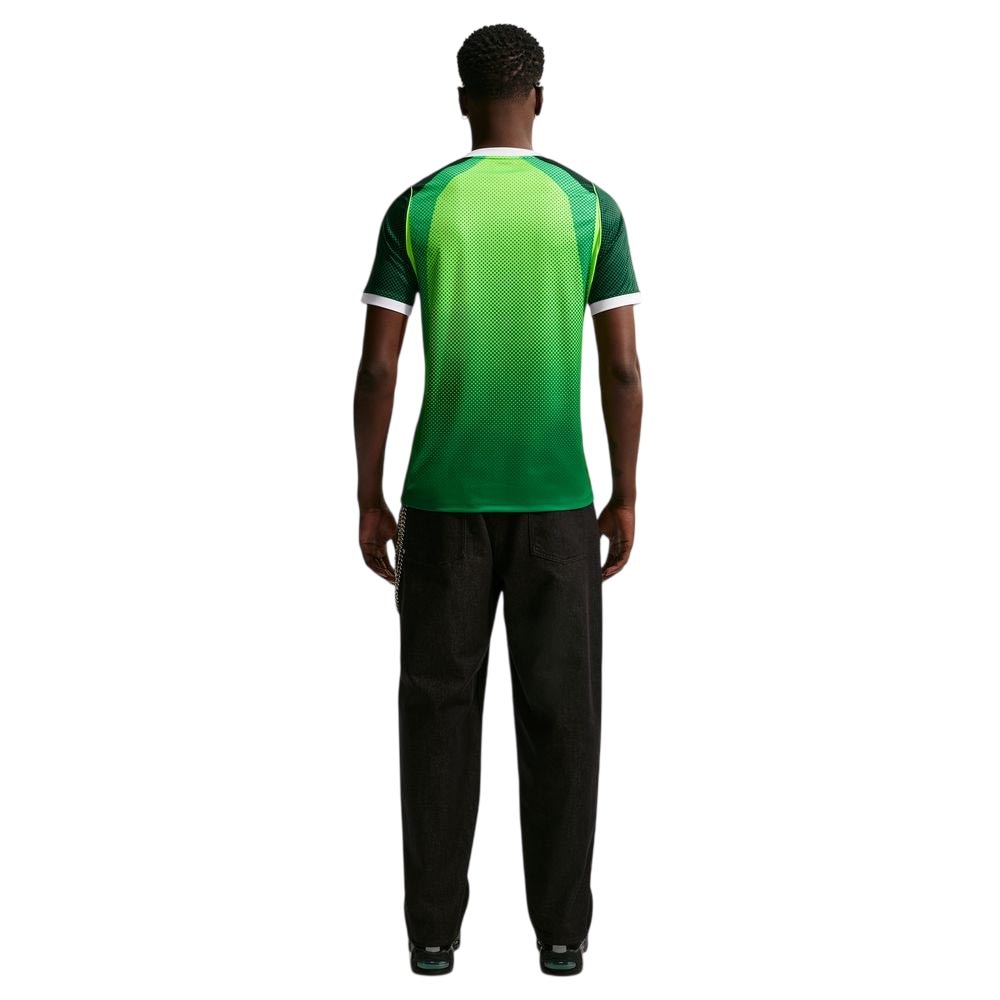 Nike Nigera Fotballdrakt 2026 Hjemme