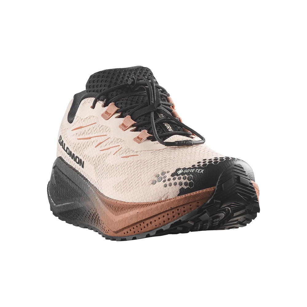 Salomon Aero Blaze 4 GRVL GTX Løpesko Herre Beige/Sort/Brun