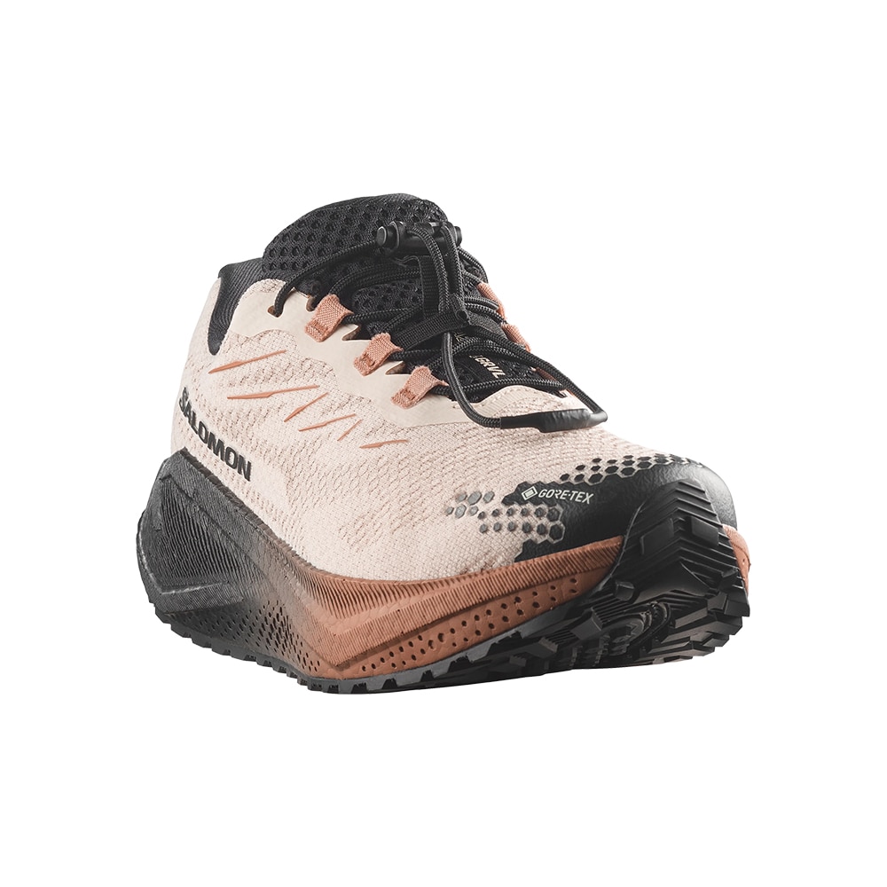Salomon Aero Blaze 4 GRVL GTX Løpesko Dame Beige/Sort/Brun