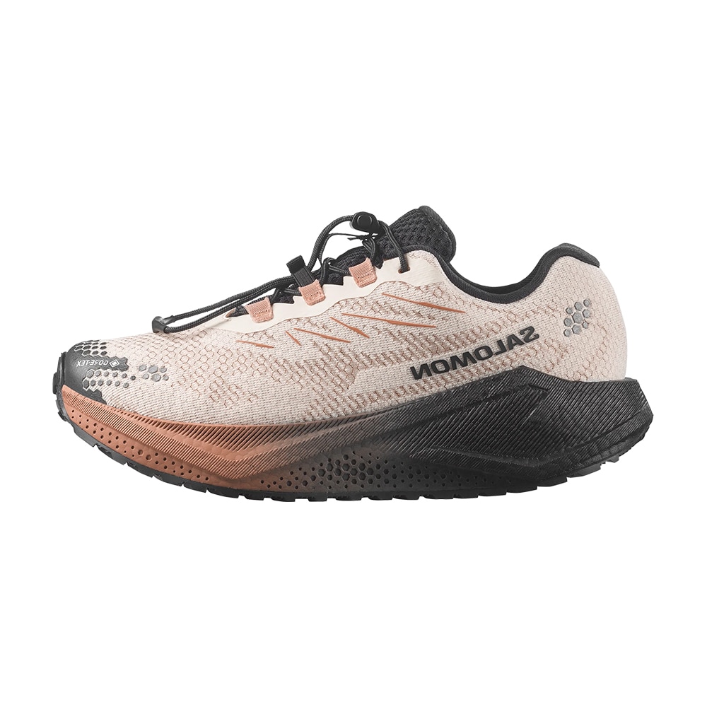 Salomon Aero Blaze 4 GRVL GTX Løpesko Dame Beige/Sort/Brun