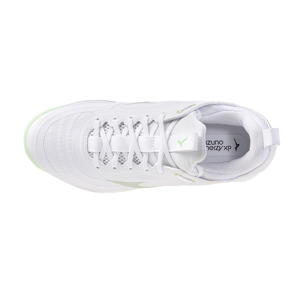 Mizuno Wave Luminous Elite Håndballsko Dame Hvit