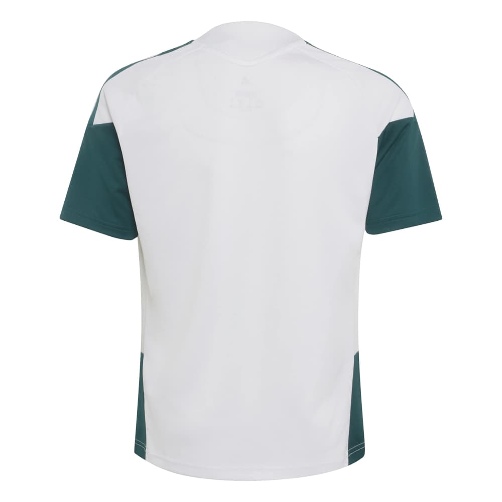 Adidas Real Madrid Tiro Treningstrøye 26/27 Barn Hvit/Grønn