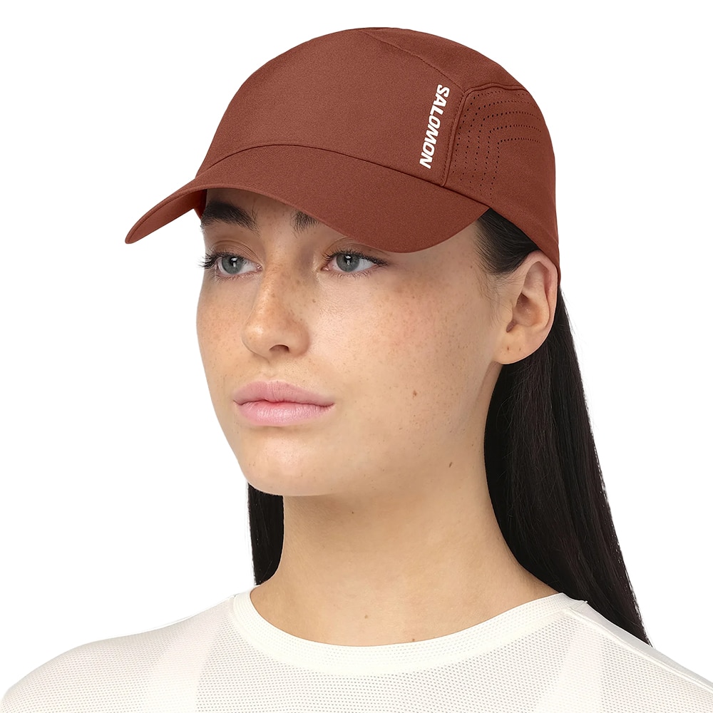 Salomon Shakeout Cap Brun
