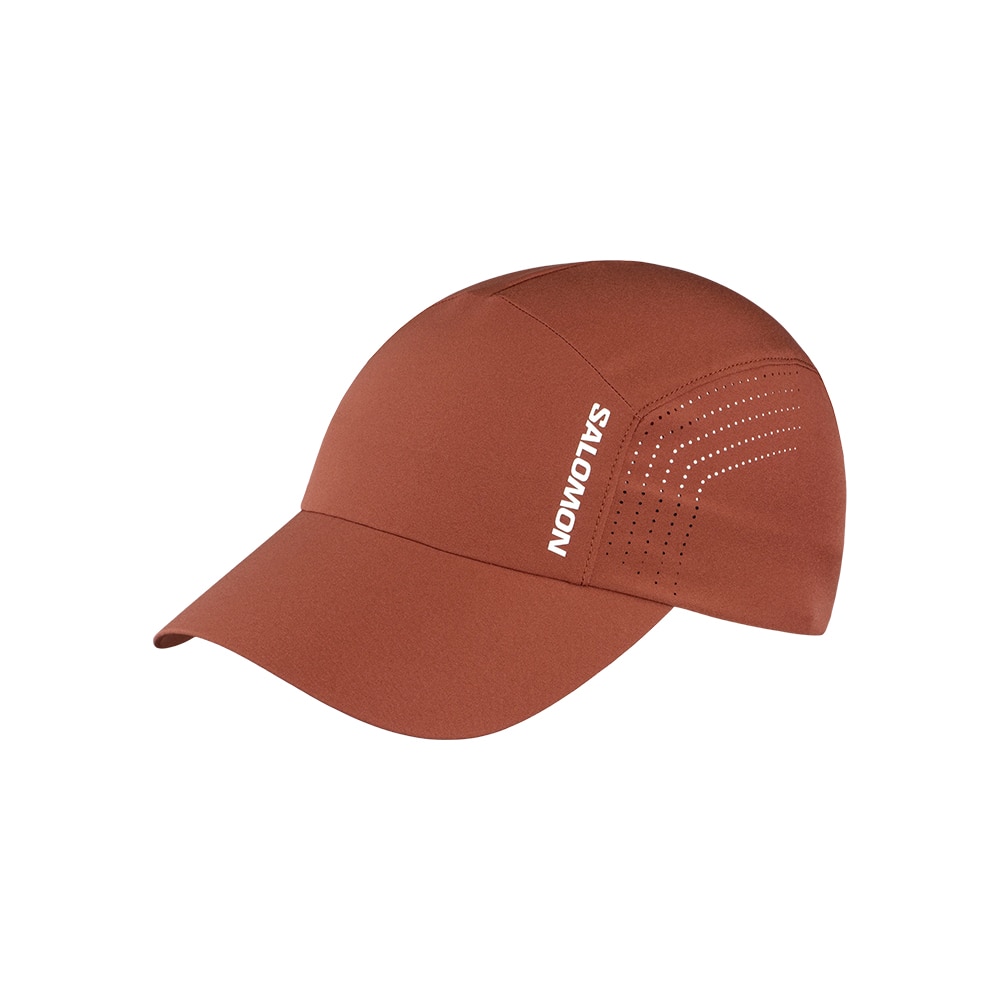 Salomon Shakeout Cap Brun