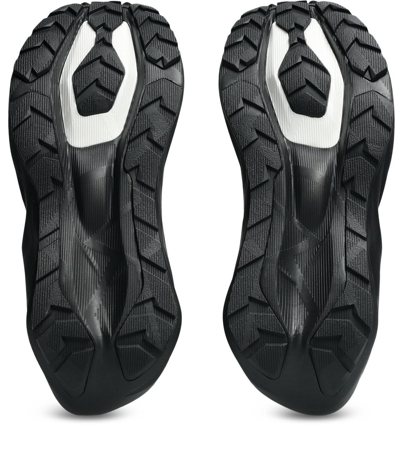 Asics Novablast 6 GTX Løpesko Dame Sort/Grå