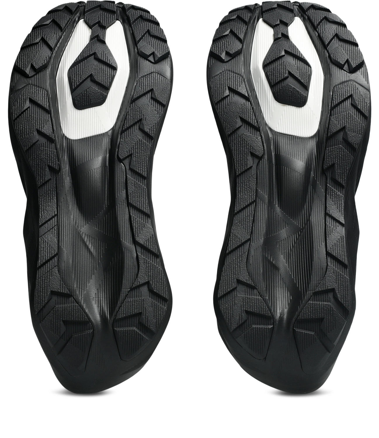 Asics Novablast 6 GTX Løpesko Herre Sort/Grå