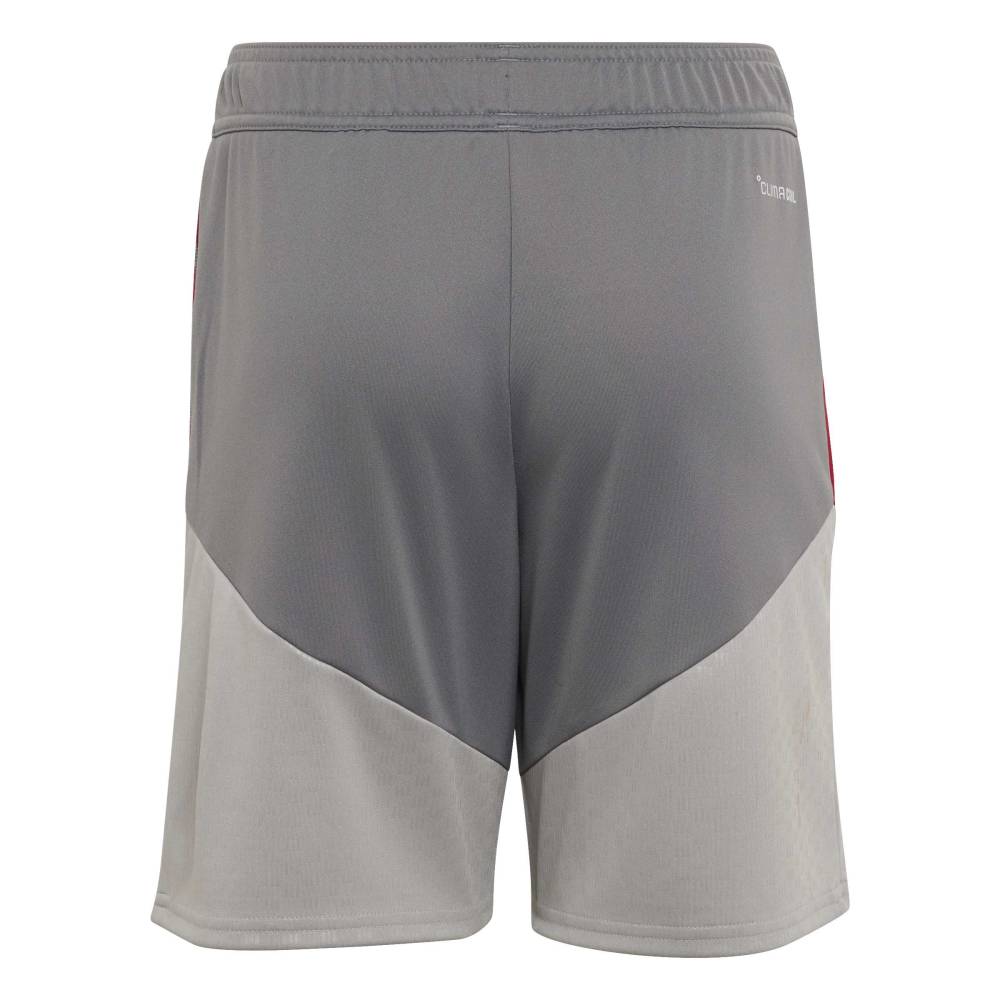 Adidas Liverpool FC Cup Tiro Treningsshorts 26/27 Barn Grå/Rød