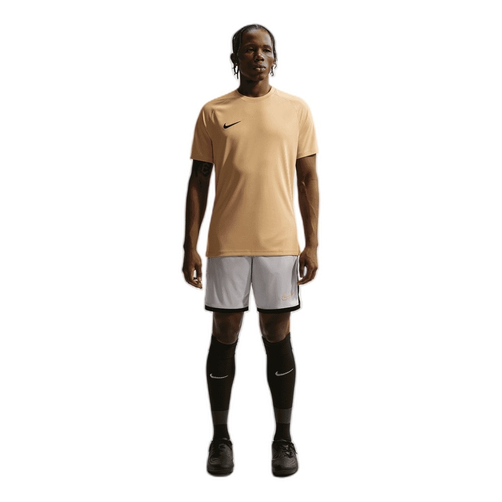 Nike Dri-FIT Park VIII Spillertrøye Gull