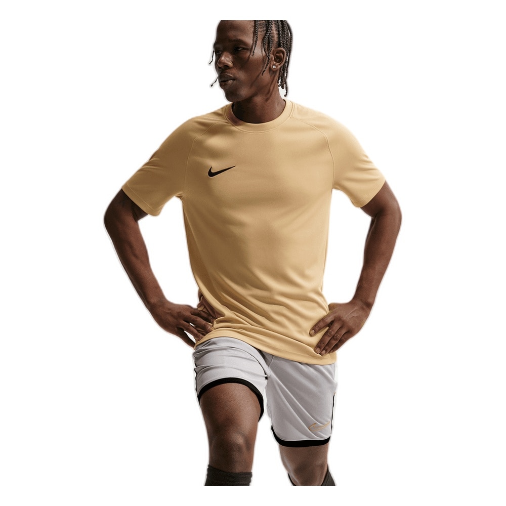 Nike Dri-FIT Park VIII Spillertrøye Gull