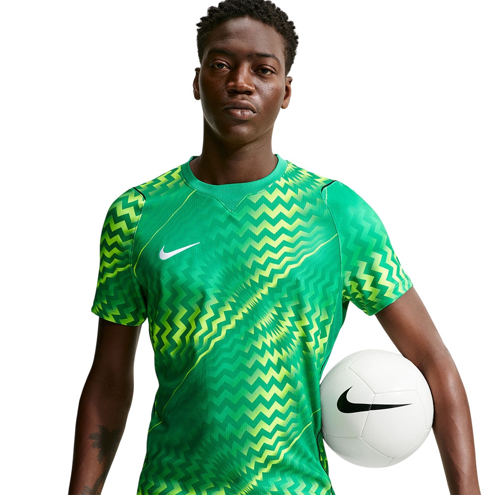 Nike Gardien Dri-FIT Keepertrøye Grønn