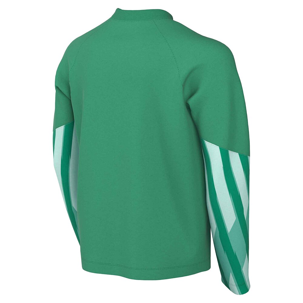 Nike Dri-FIT Park V Keepertrøye Barn Grønn