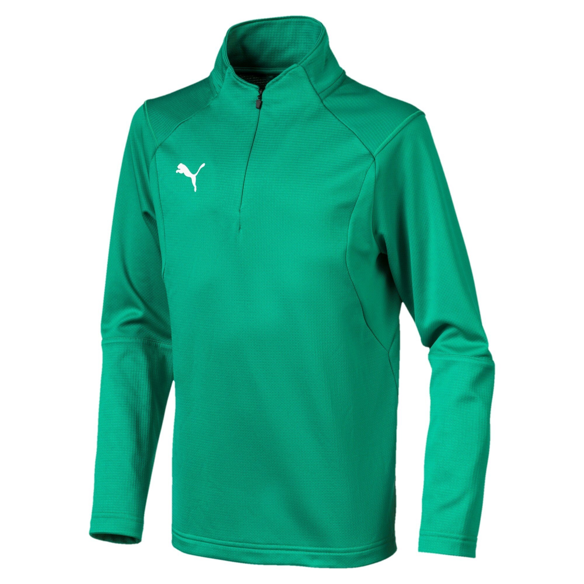 1 4 zip. Puma Liga Green. Ветровка Пума для футбола. Puma зеленые для бега. Накидка Пума мужская зелёная тренировочная.