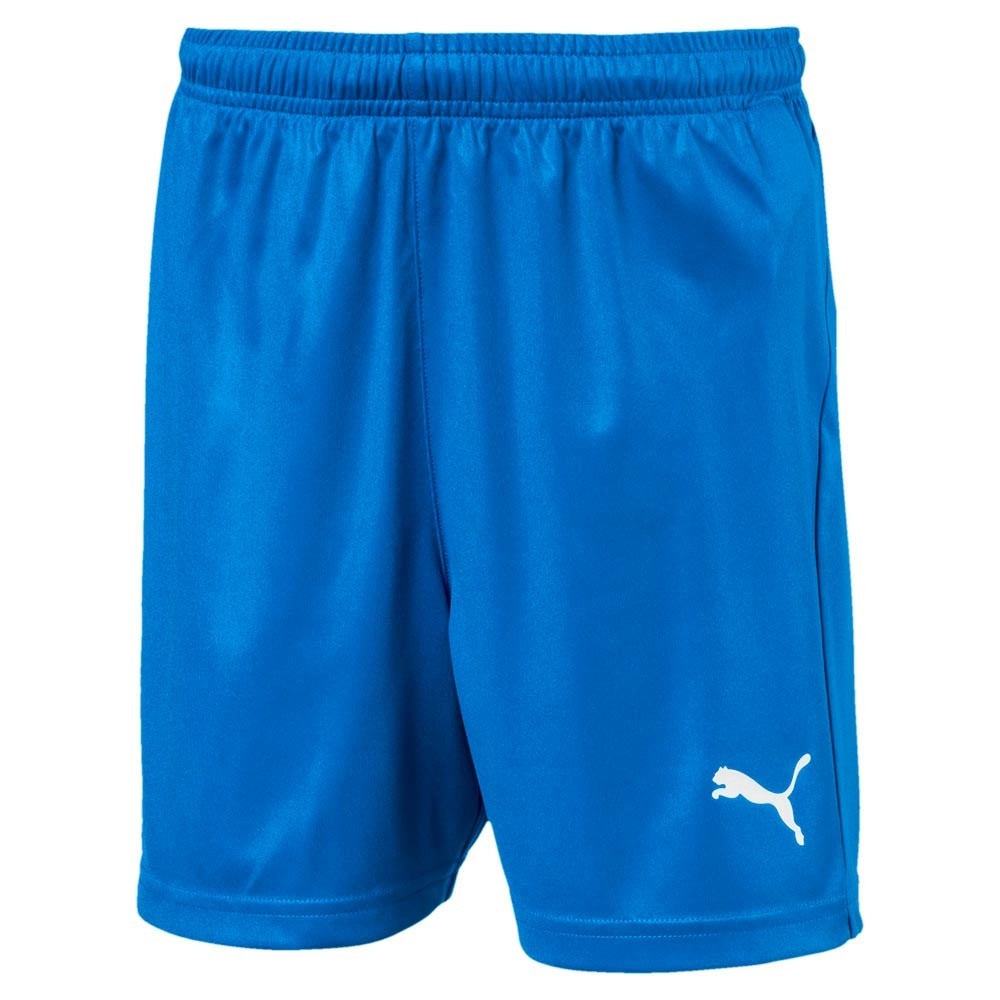 Puma Liga Core Shorts WB Barn Blå