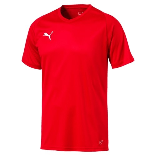 Puma Liga Core Spillertrøye Rød