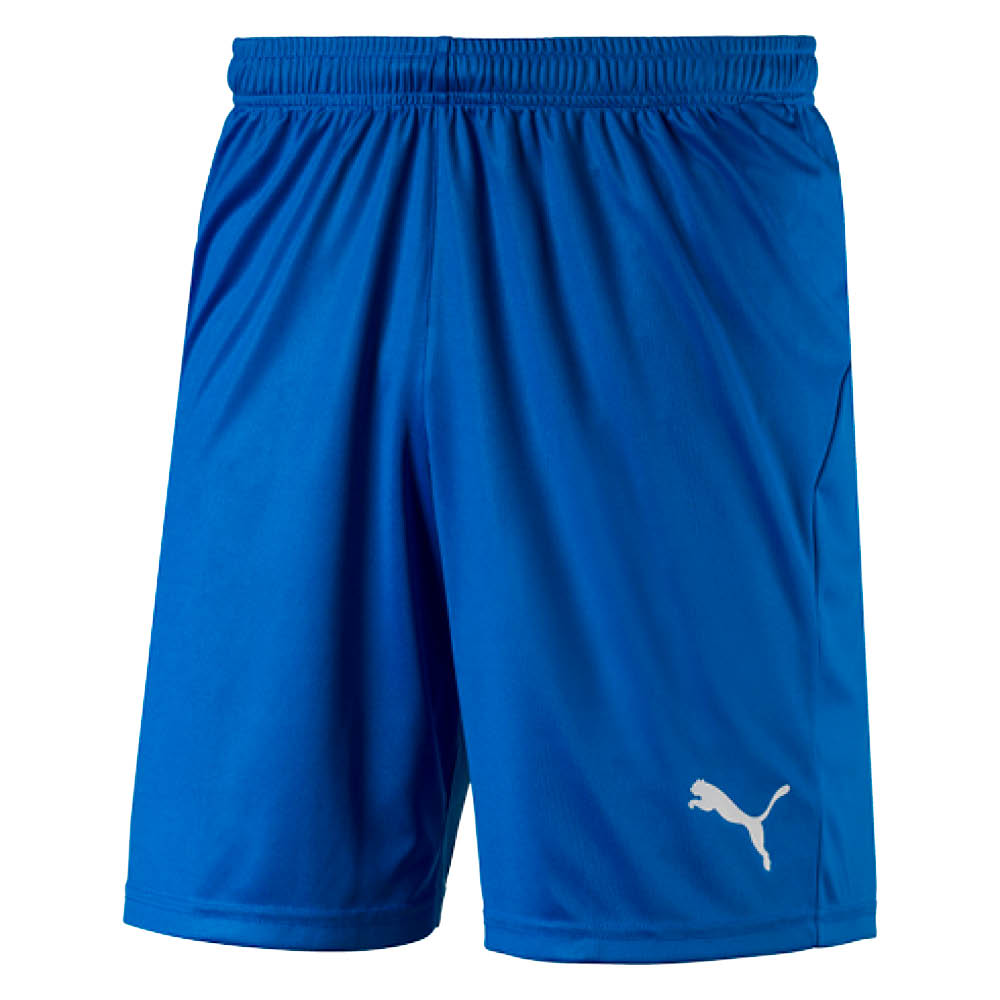 Puma Liga Core Shorts Blå