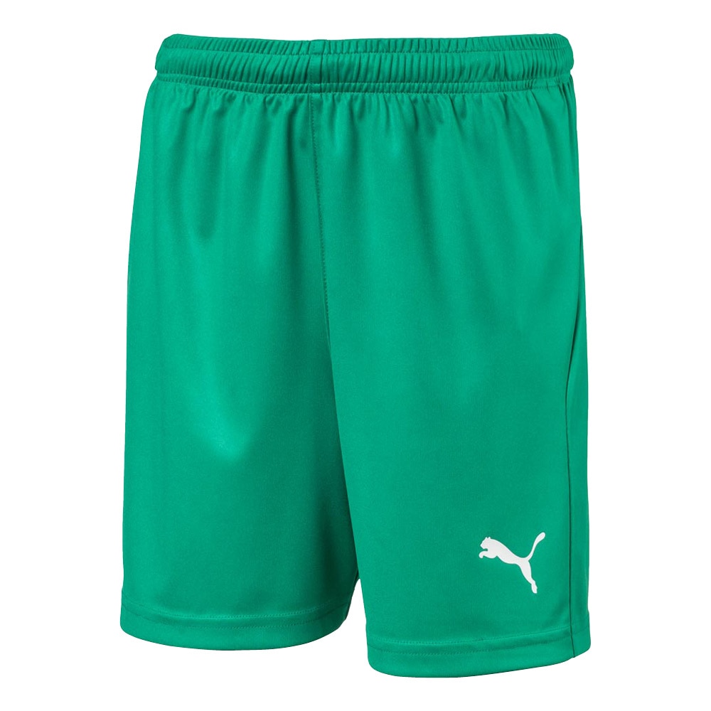 Puma Liga Core Shorts WB Grønn