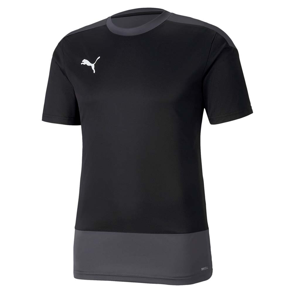 Puma teamGOAL Spillertrøye Sort