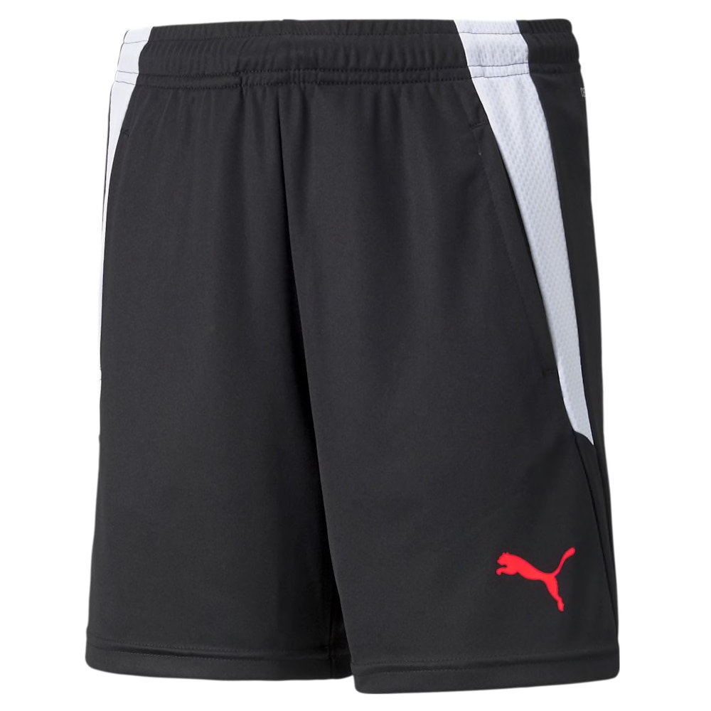 Puma TeamLiga 2 Treningsshorts Barn Faster Football Pack