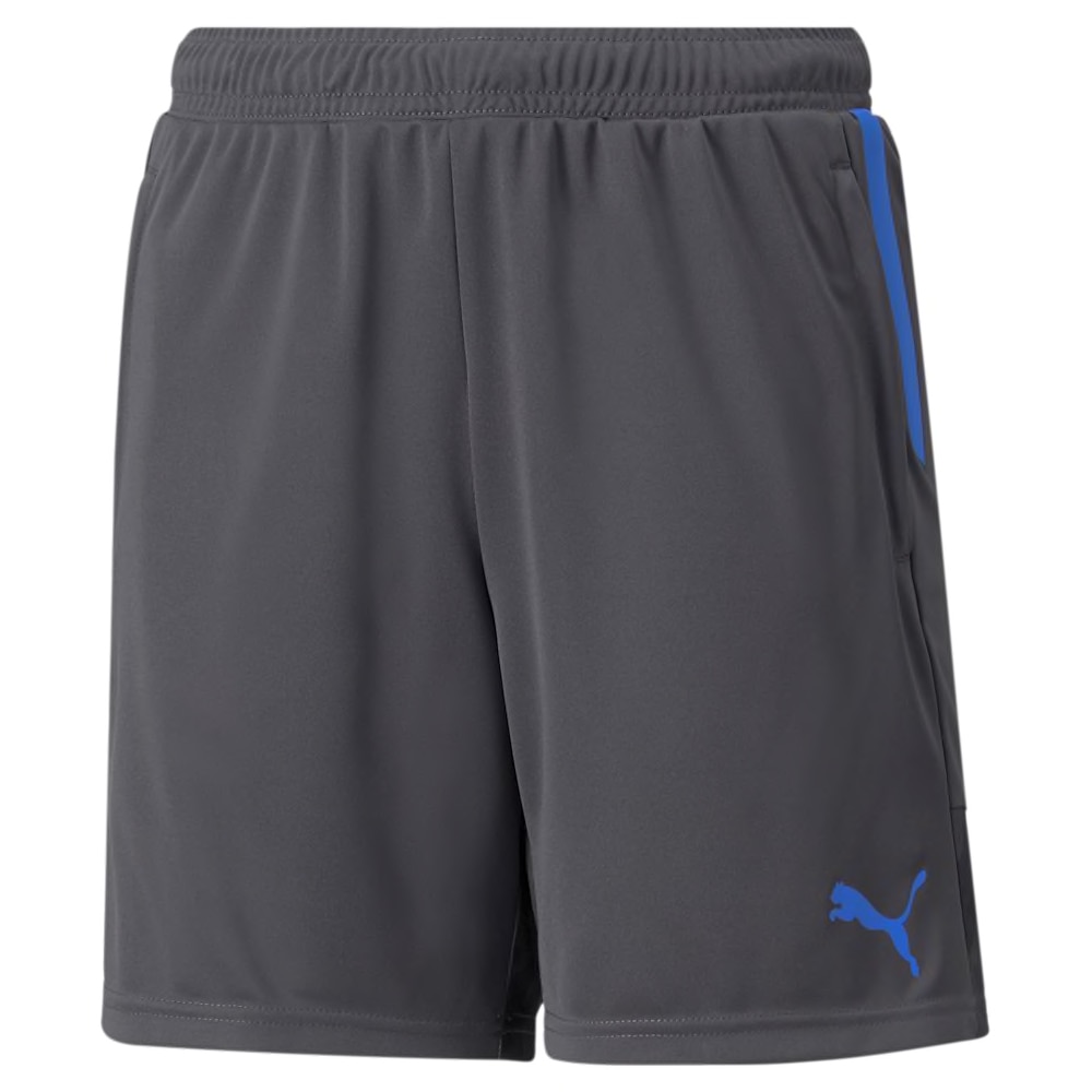 Puma IndividualCup Shorts Barn Faster Football Pack