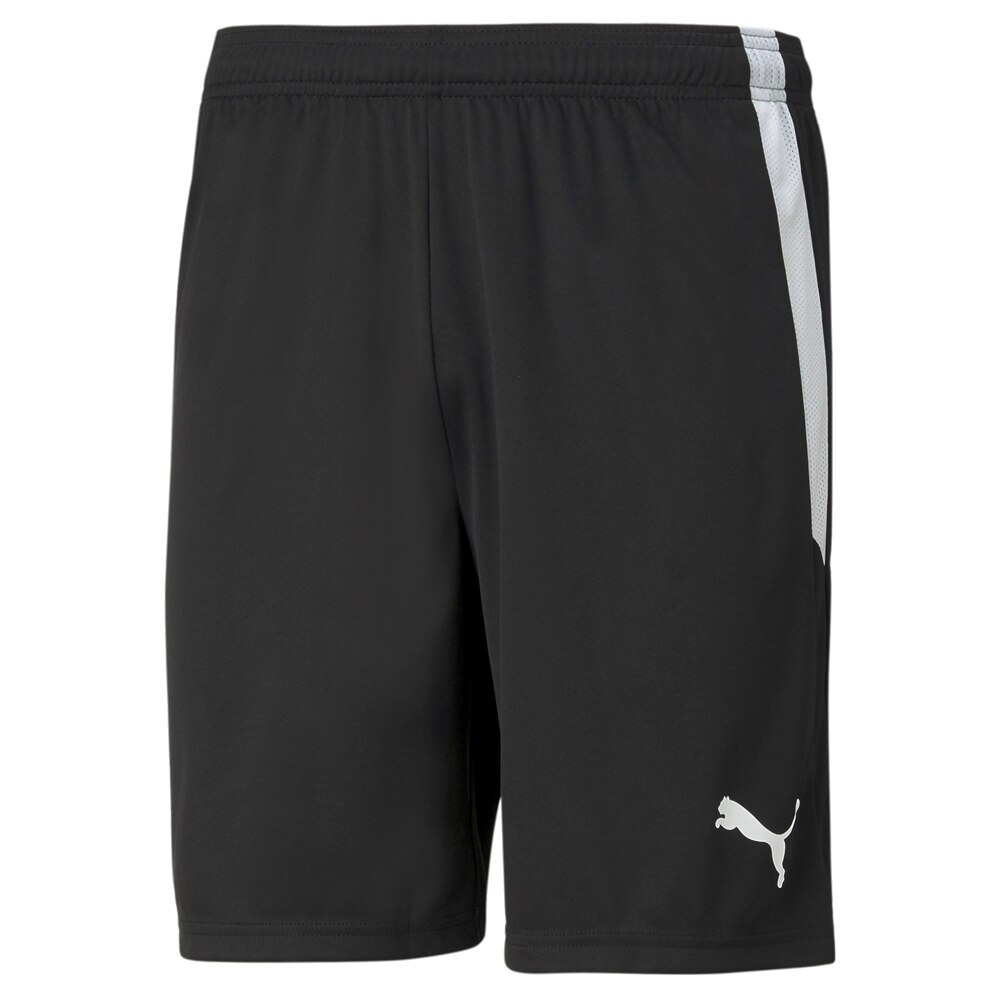 Puma Teamliga Shorts Sort