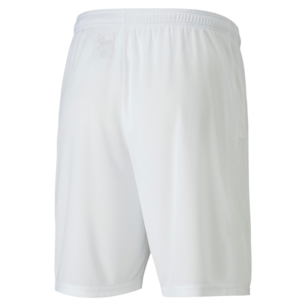 Puma teamGOAL 23 Shorts Hvit