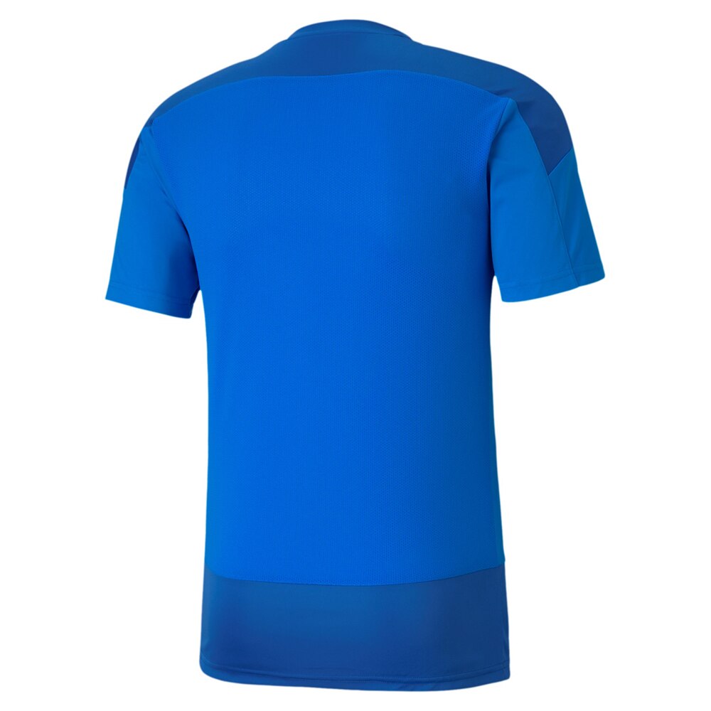 Puma teamGOAL Spillertrøye Blå
