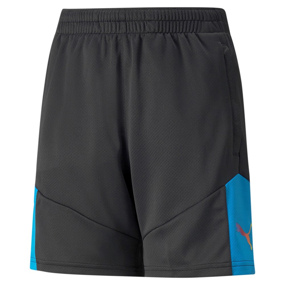 Puma IndividualFINAL Treningsshorts Barn Sort/Blå