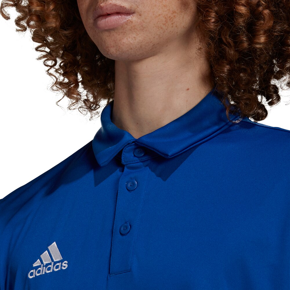 Adidas Entrada 22 Polo Blå