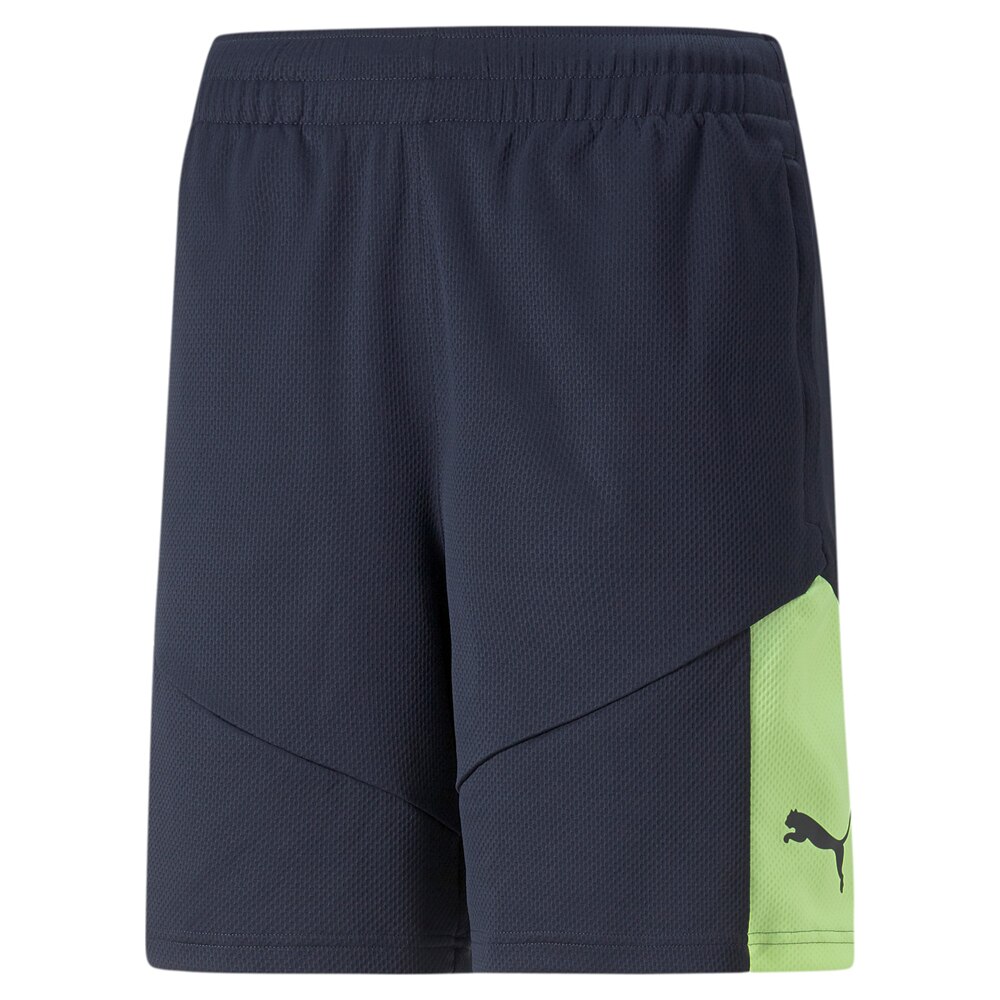 Puma IndividualFINAL Treningsshorts Fastest Pack