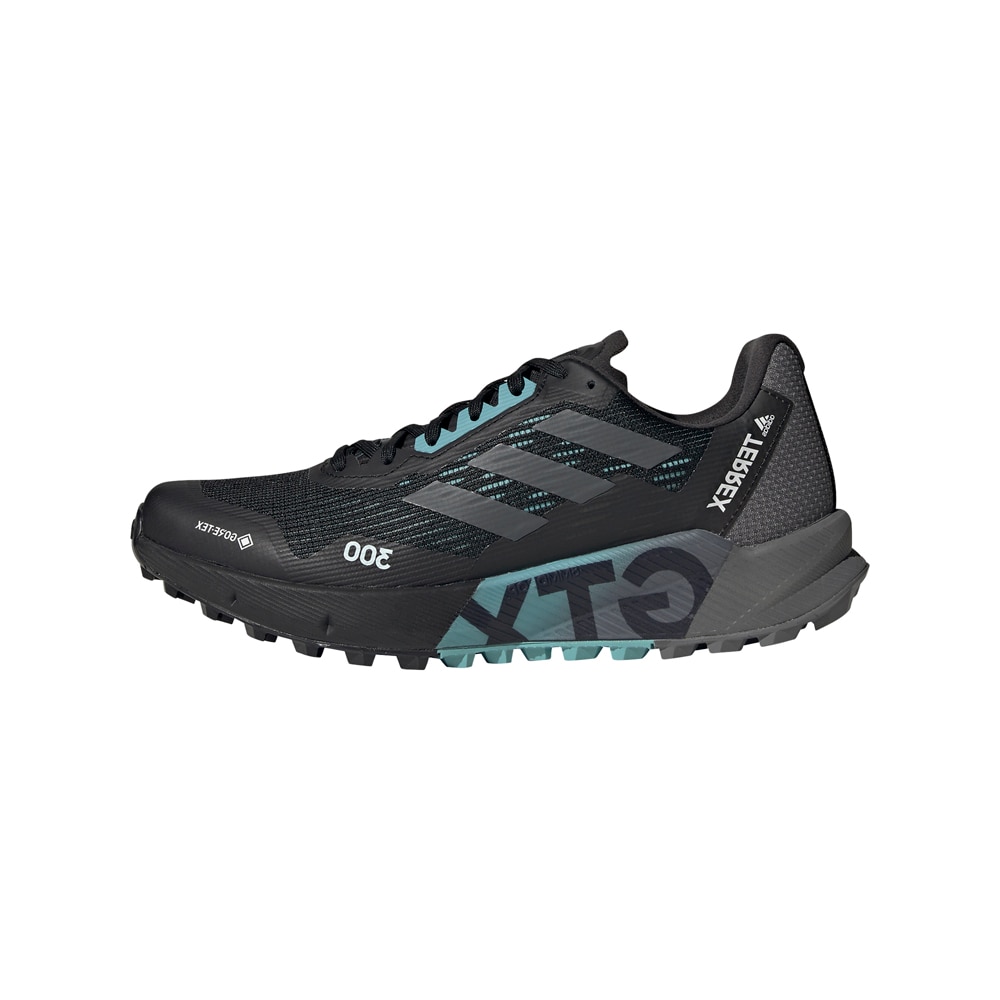 Adidas Terrex Agravic Flow 2.0 Gore-Tex Joggesko Dame Sort 