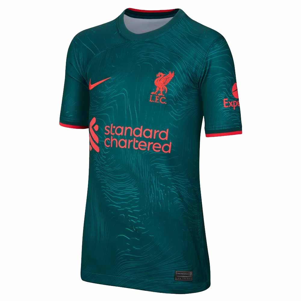 Nike Liverpool FC Fotballdrakt 22/23 3rd Barn